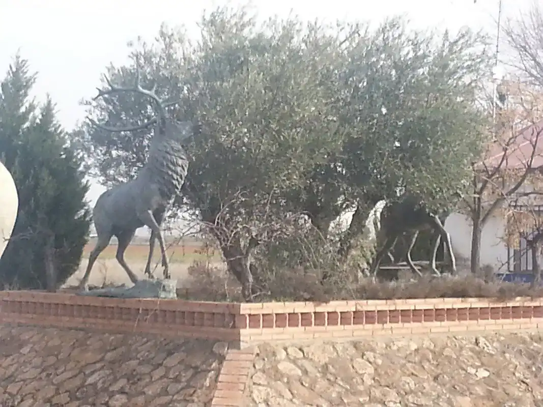 Hotel en venda a Valdepeñas, imagen 27