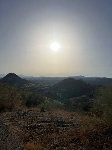 Terreno en Venta en ZONA POLIGONO 32 PARCELA 664 PARAJE DE CASTILLEJO, 32 en El Cortijuelo