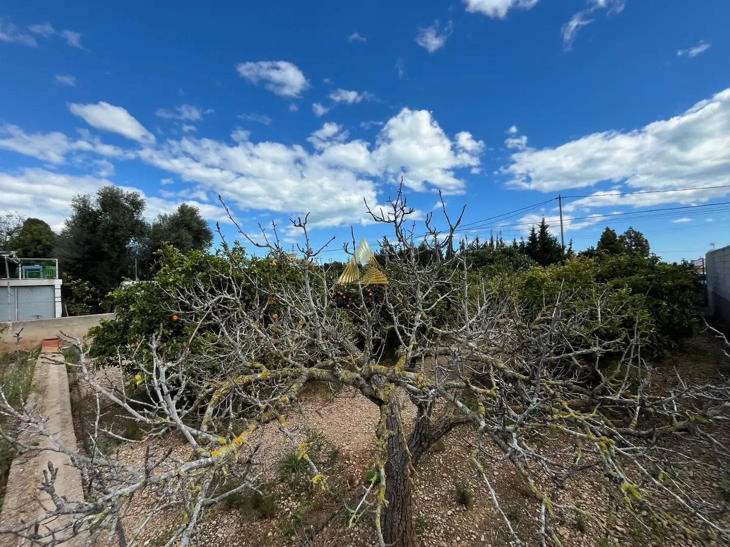 Terrenos y solares en venta en Pueblo, imagen 15
