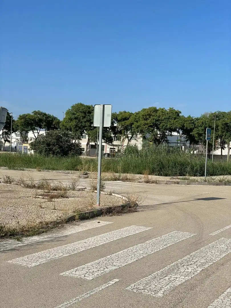 Terreny rústic en venda a Ceutí, imagen 9