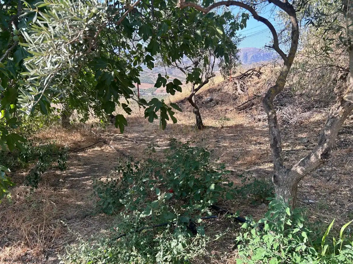 Casa o xalet en venda en Álora amb Calefacció, Terrassa i Traster
