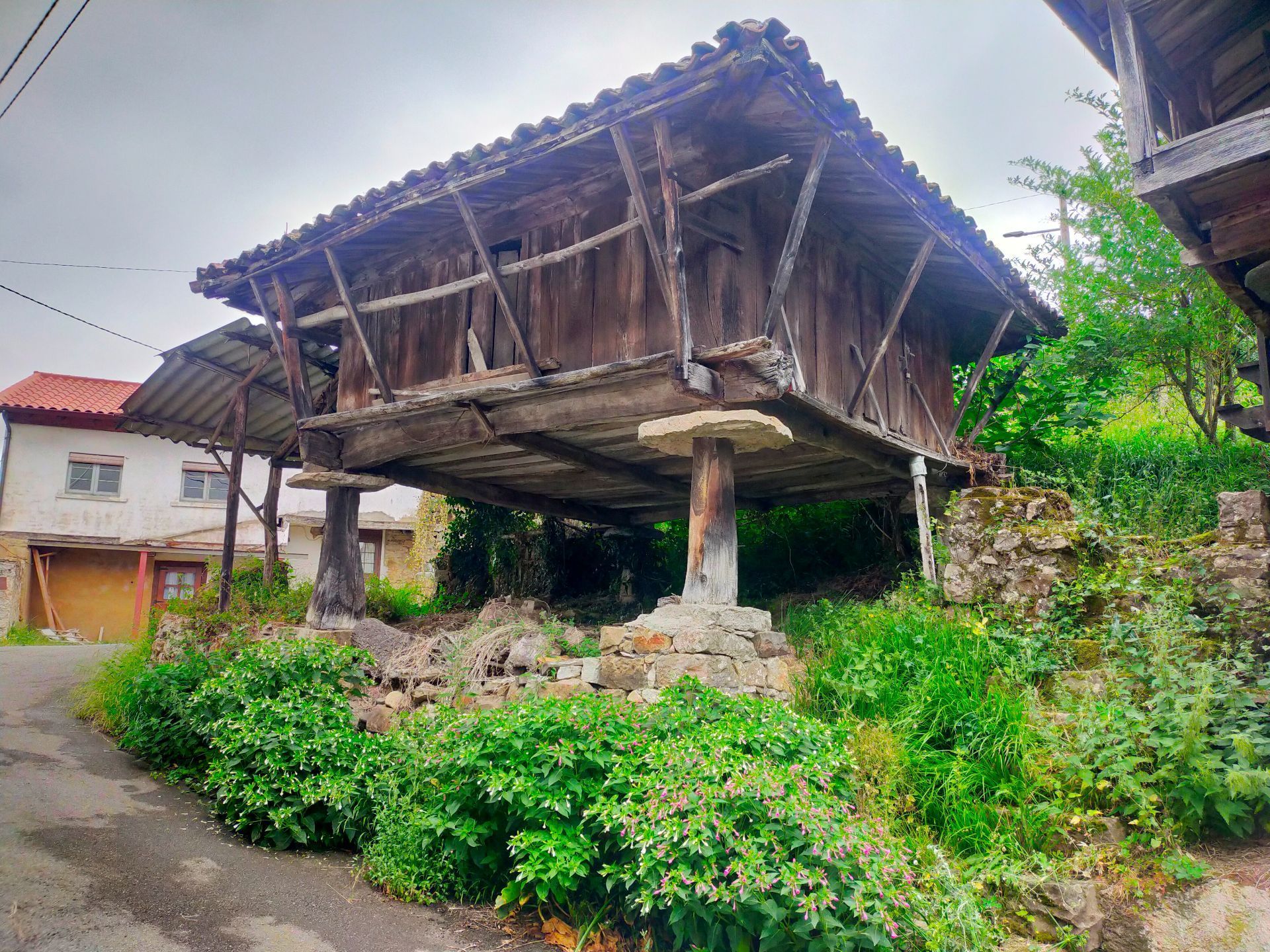 Exterior view of Land for sale in Pravia