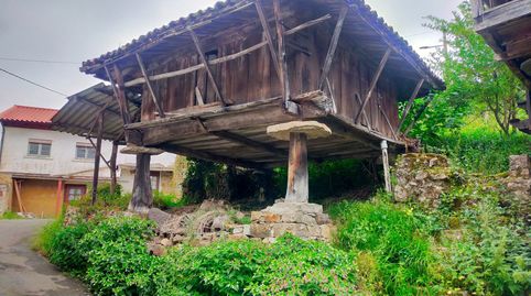 HÓRREO CON PEQUEÑA HUERTA EN VENTA EN PRAVIA, ASTURIAS