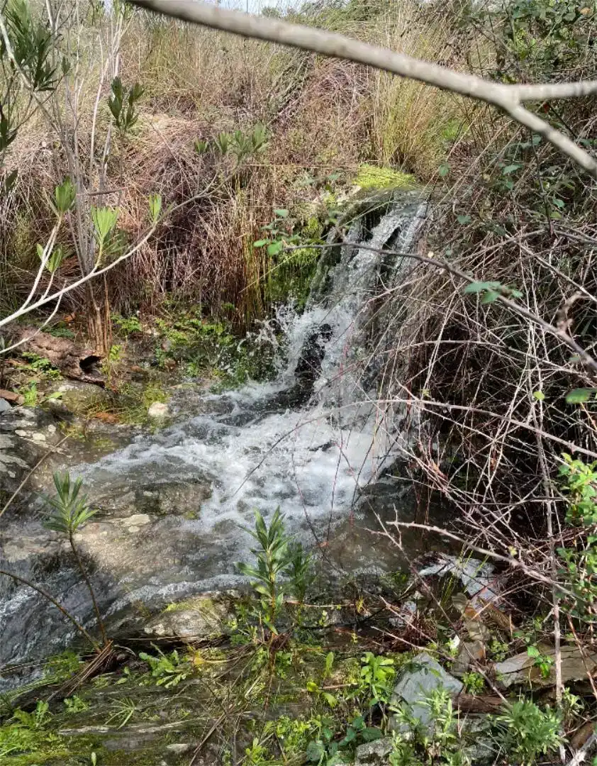 Vista exterior de Finca rústica en venda en Berrocal amb Jardí privat, Traster i Piscina