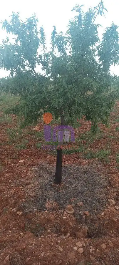 Finca rústica en venda en Valdepeñas