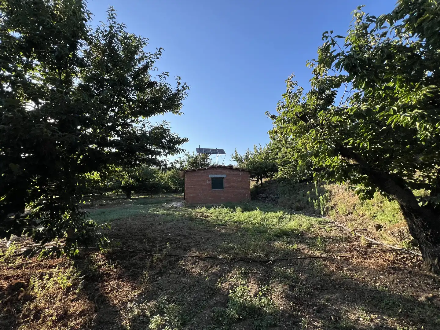 Terreni e lotti in vendita a Garganta la Olla, imagen 3