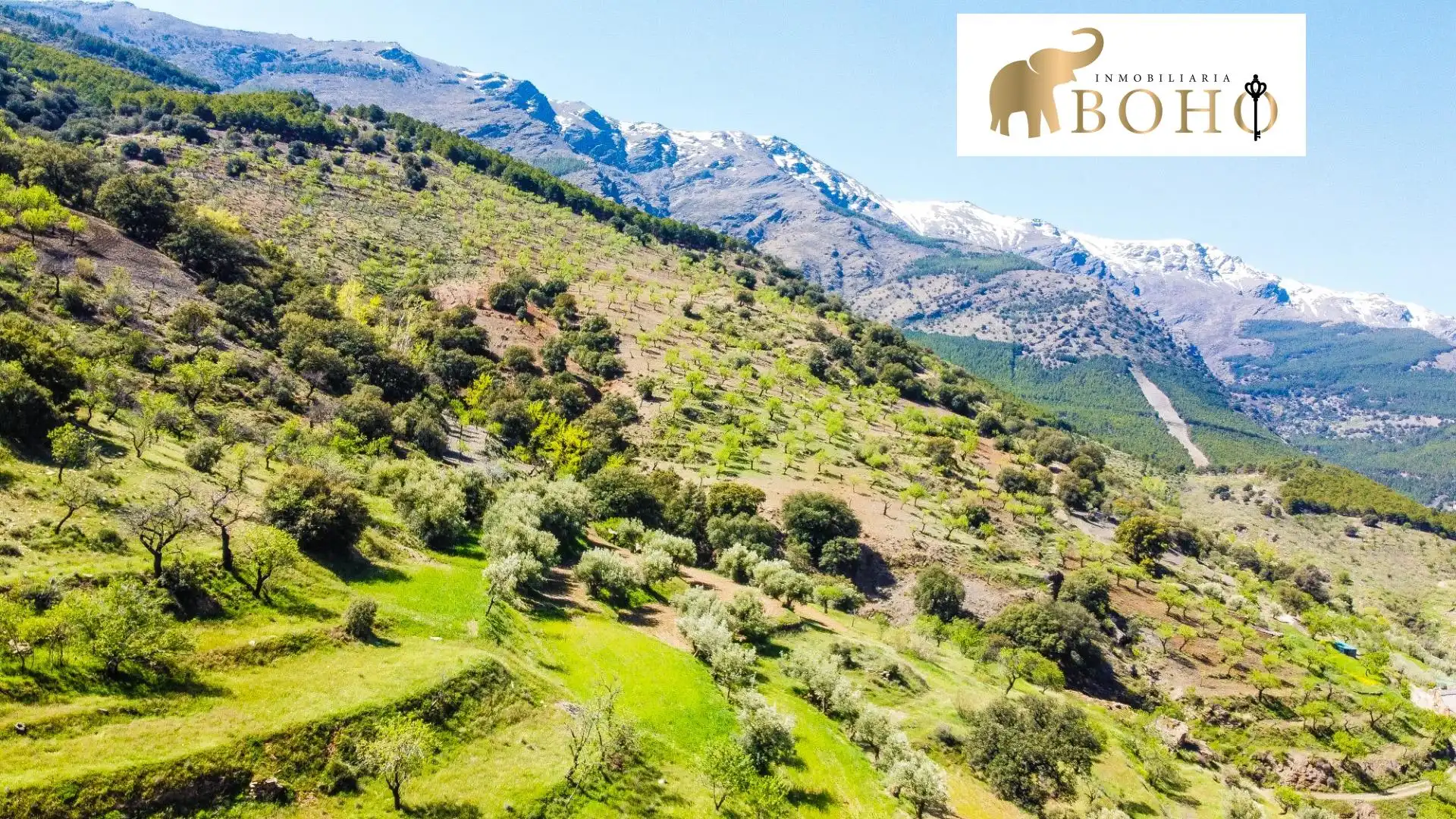Terrain rustique à vendre à Abrucena, imagen 4