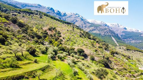 SE VENDE TERRENO CON ALMENDROS EN ABRUCENA, immagine 4