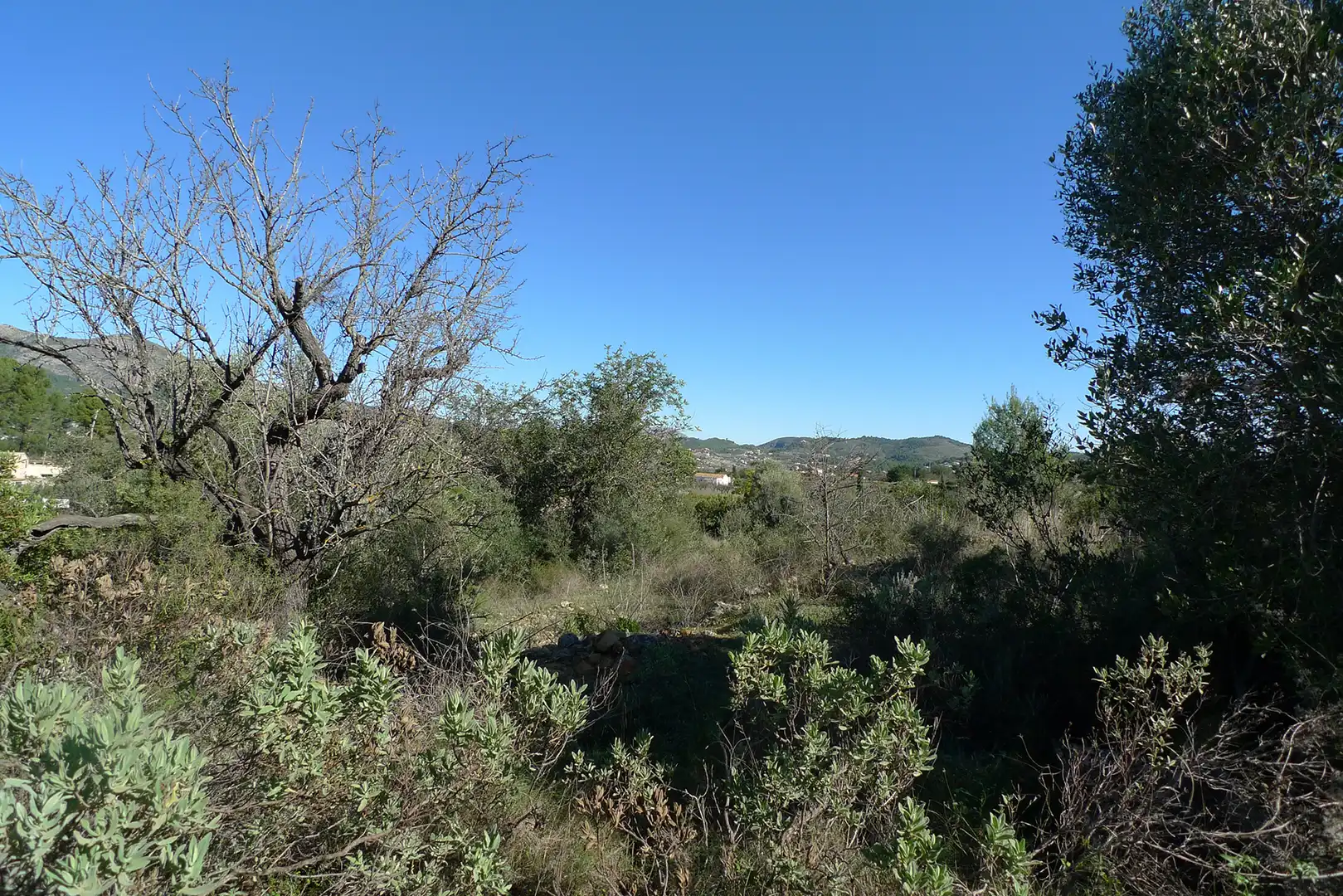 Terreny residencial en venda a Xaló, imagen 13