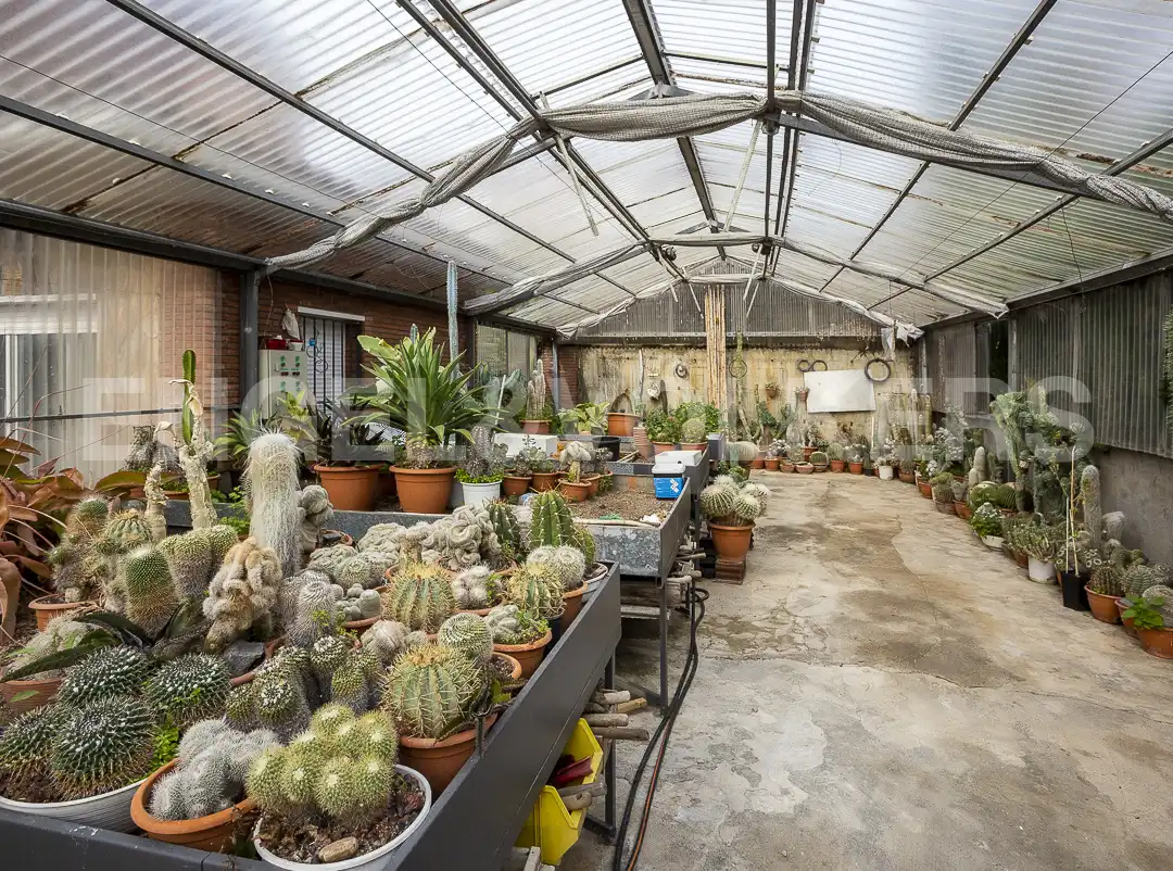 Jardí de Casa o xalet en venda en Premià de Dalt amb Aire condicionat, Calefacció i Jardí privat