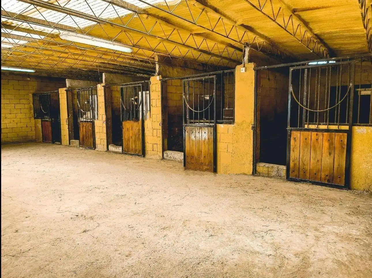 Casa rústica en venda a Caniles, imagen 19
