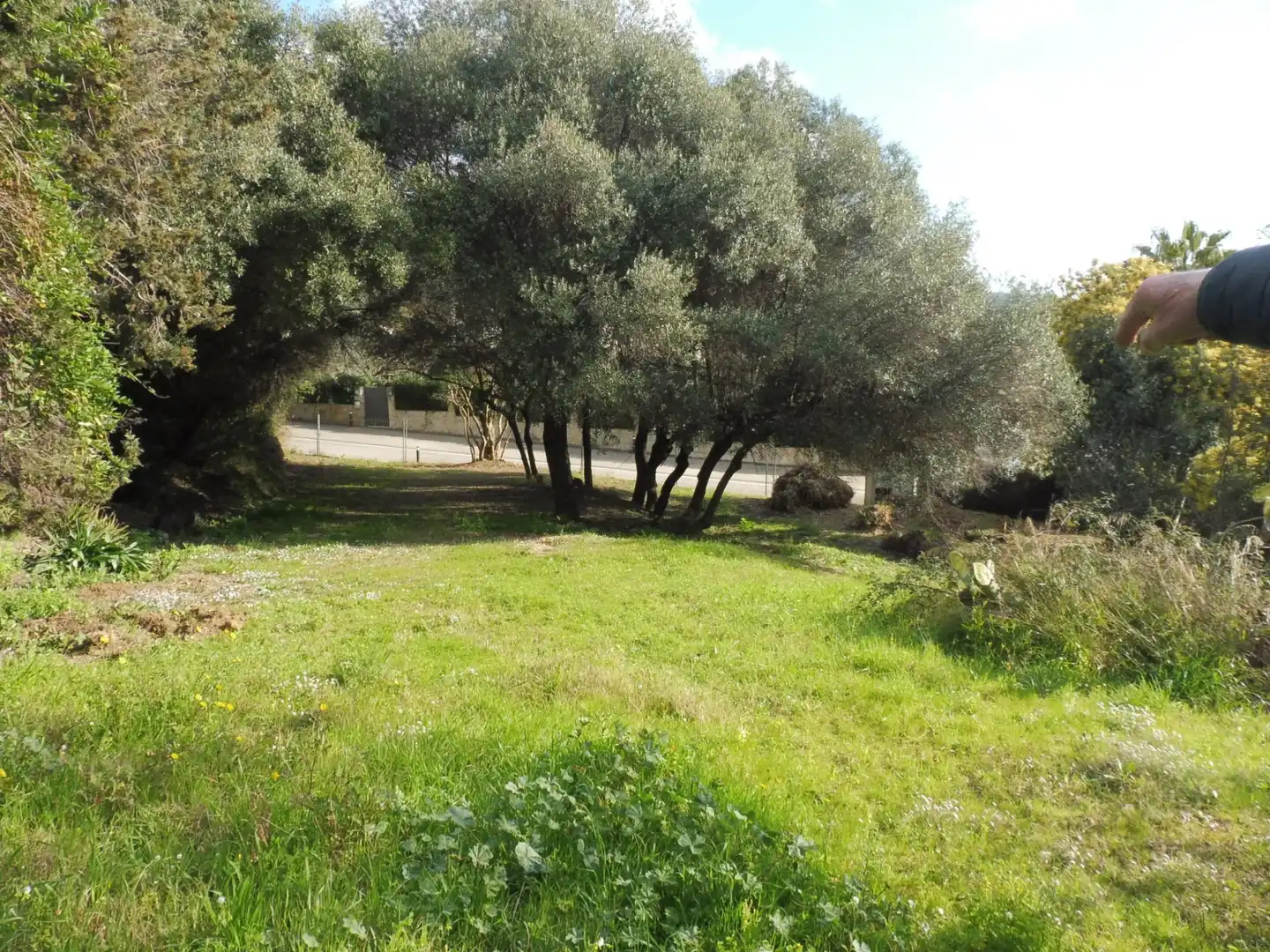 Casa rústica amb terrassa en venda a VERONA, imagen 2