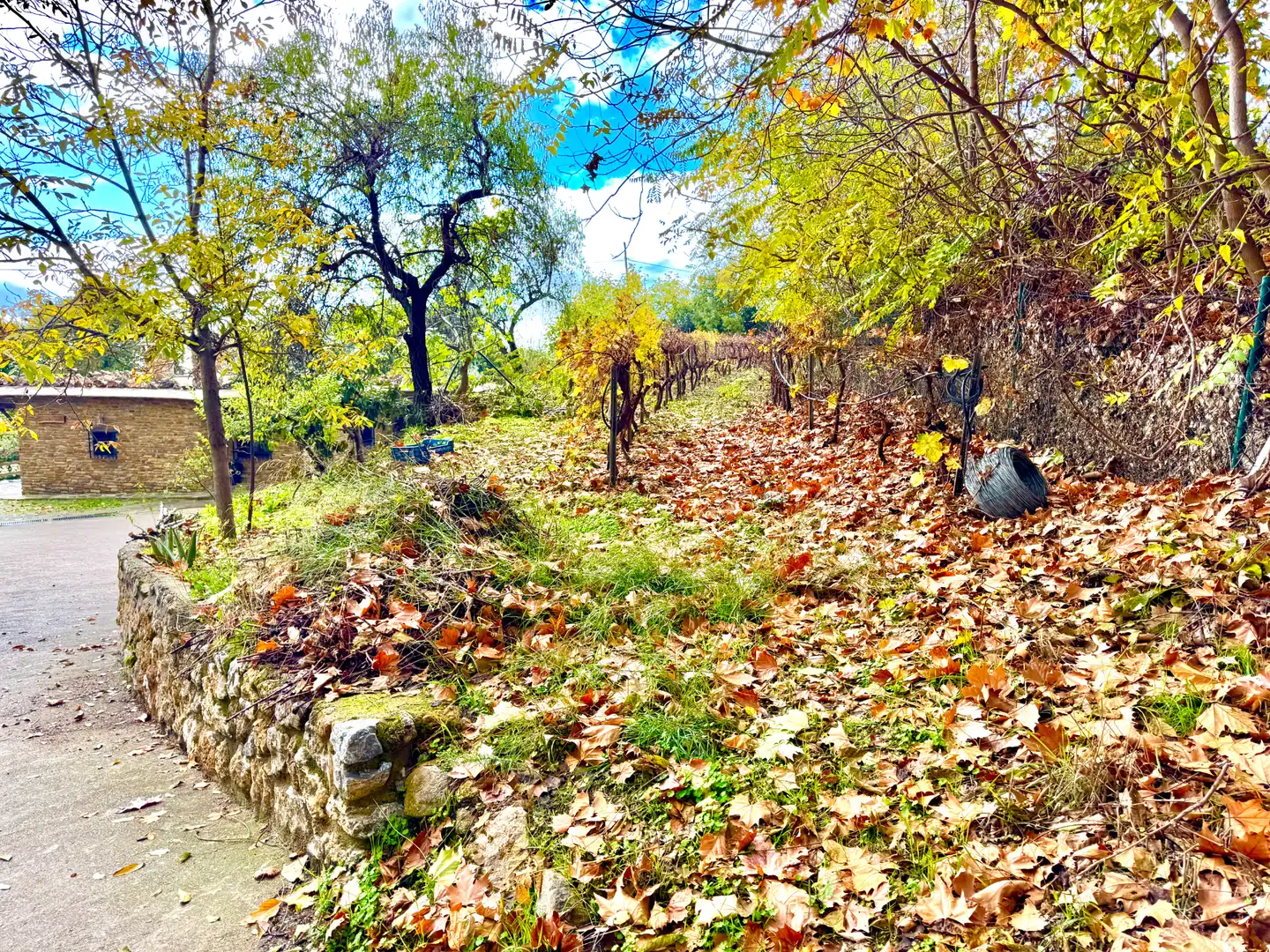Houses for sale in Alpujarra de la Sierra  with Heating, Private garden and Terrace