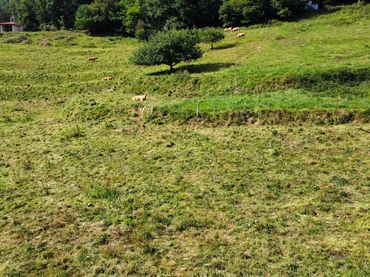 Grundstücke und Bauplätze zum Verkauf in Vidiago - Pendueles - Tresgrandas