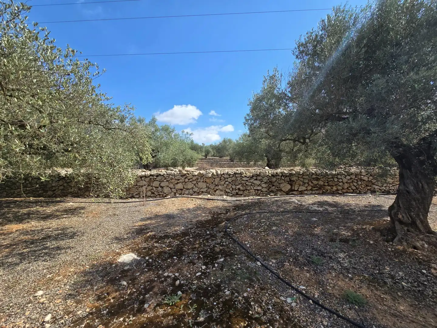 Finca rústica en venta en Freginals con Jardín privado