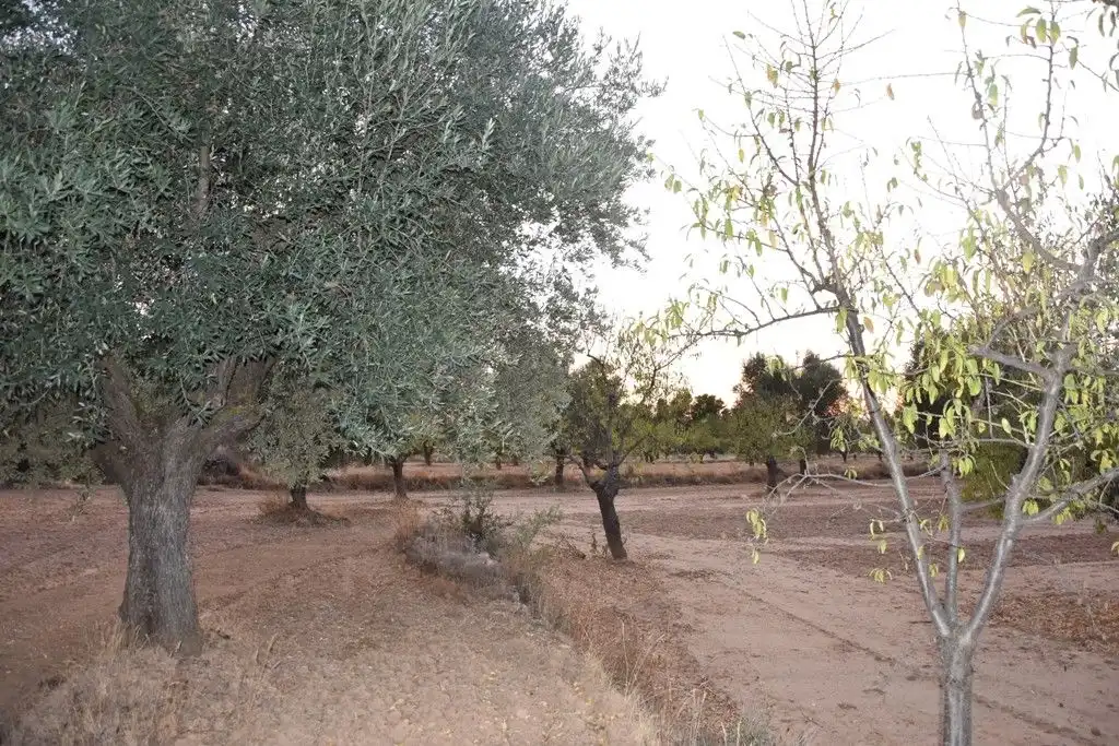 Terreni e lotti in vendita a Valderrobres, imagen 5