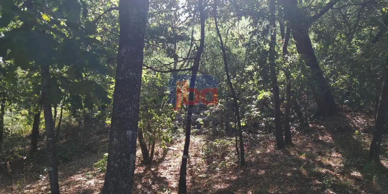 Terreni e lotti in vendita a O Pereiro de Aguiar, imagen 12