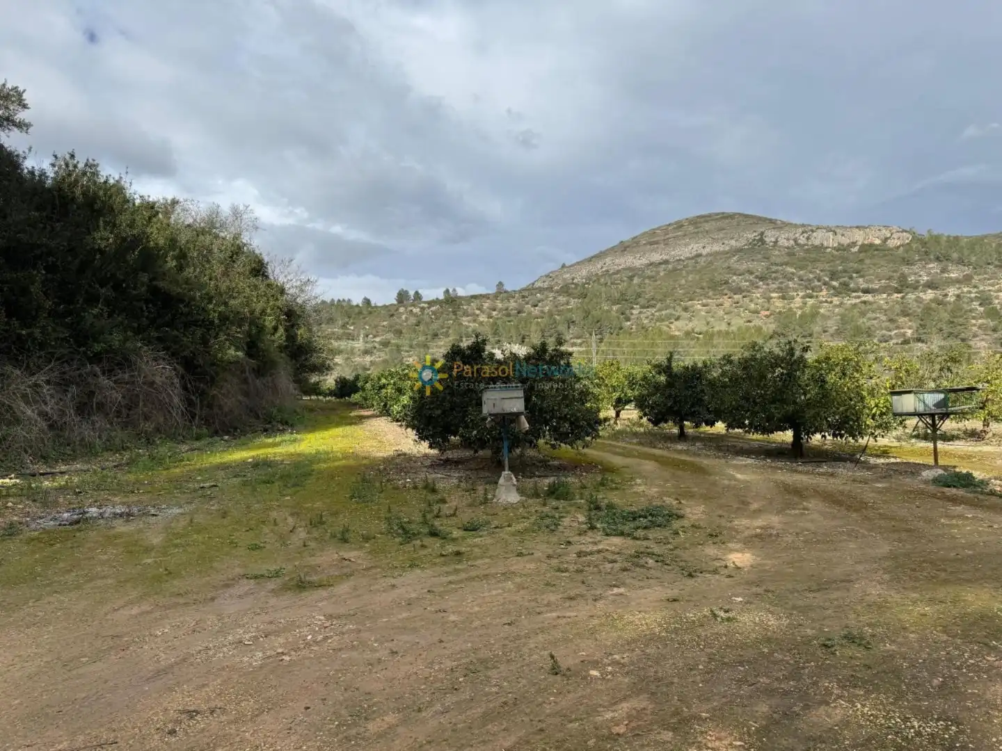 Terreno rustico in vendita a Benigànim
