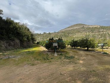 Rural land for sale in Benigànim
