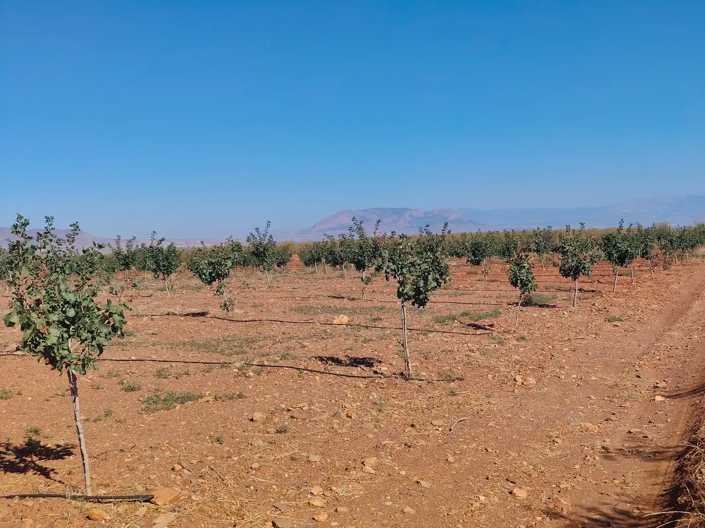 Terreno rustico in vendita a N/A, imagen 14