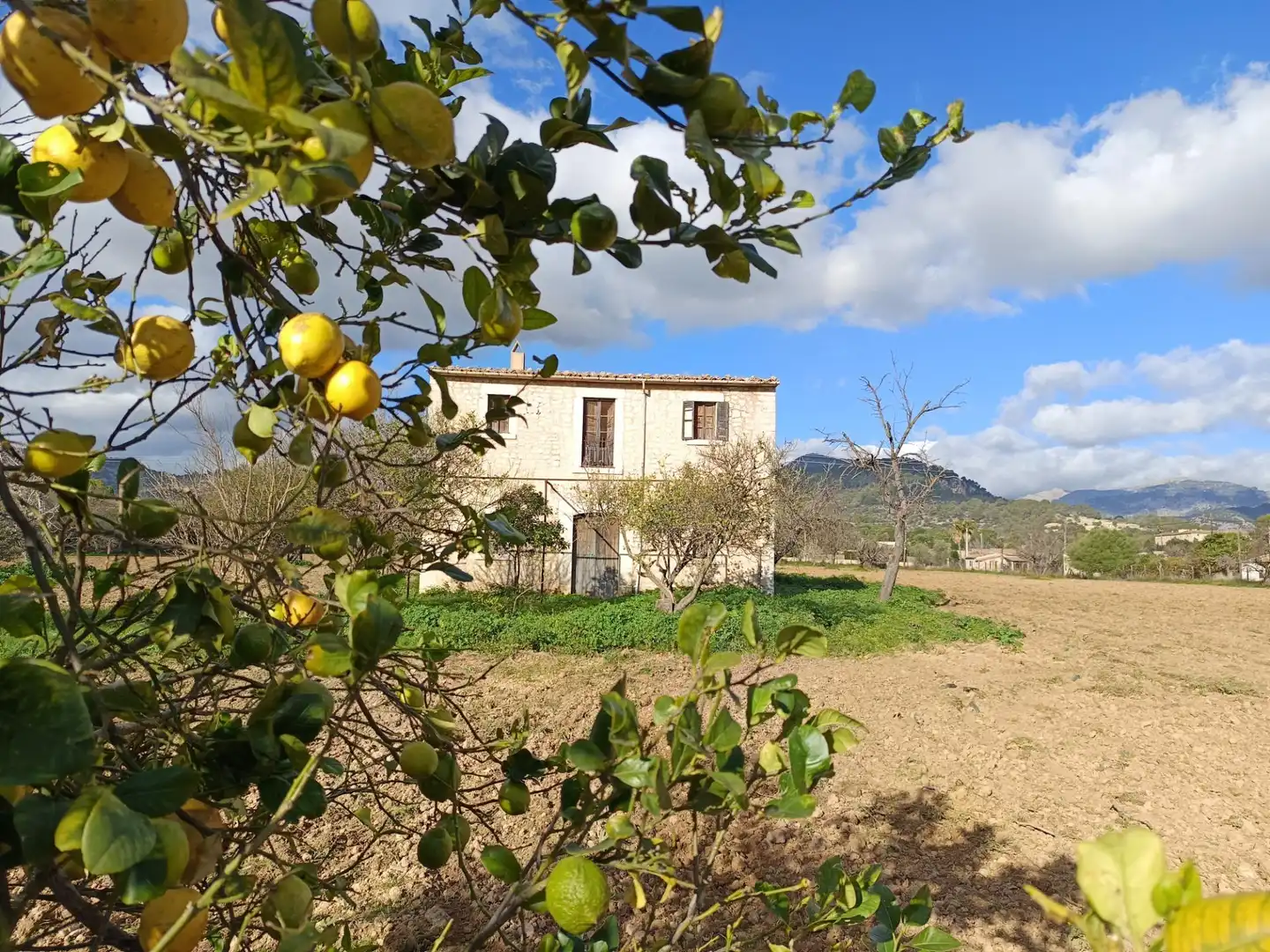 Exterior view of Country homes for sale in Binissalem  with Private garden