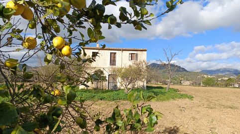 Photo 2 of Country homes for sale in Diseminado Poligono 14, Binissalem, Illes Balears