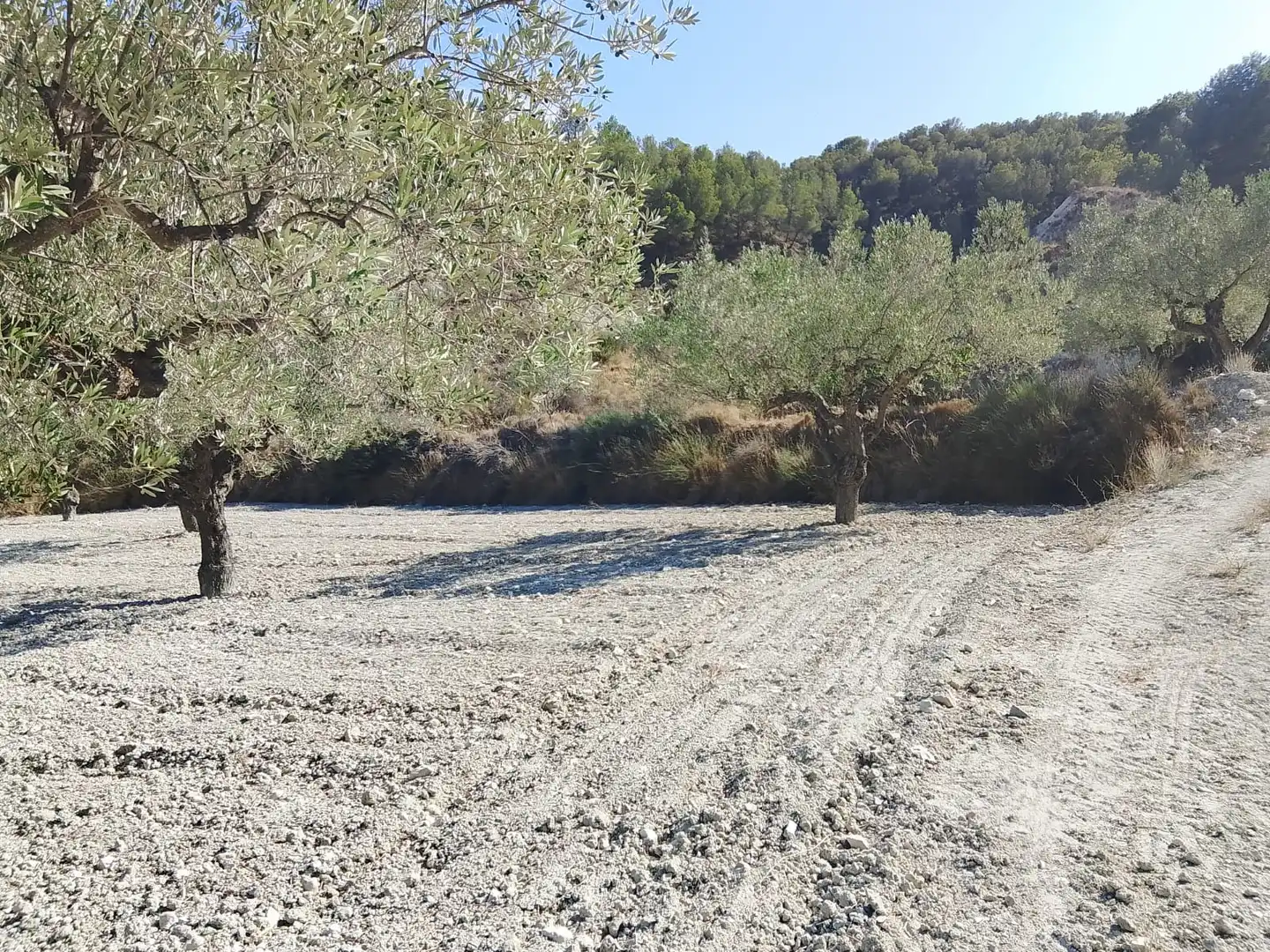 Terreno rustico in vendita a N/A, imagen 118