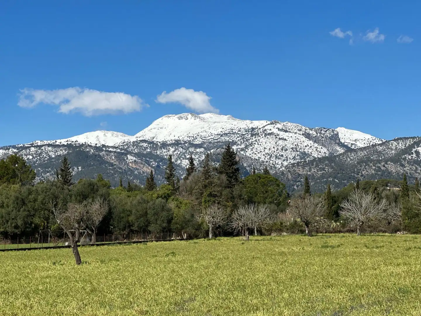 Terreno residenziale in vendita a Camino Selva, imagen 27
