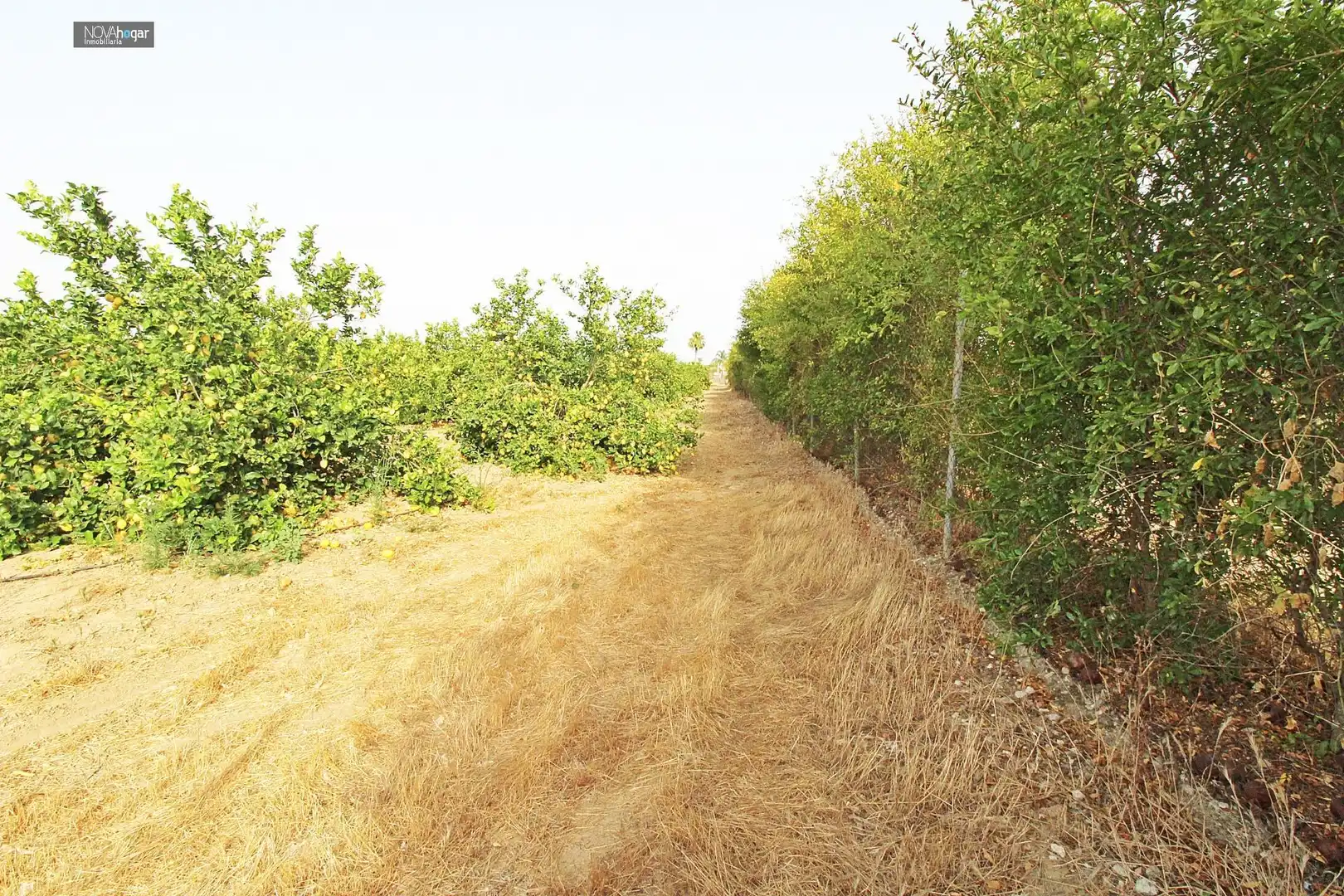 Finca rústica en venta en Málaga