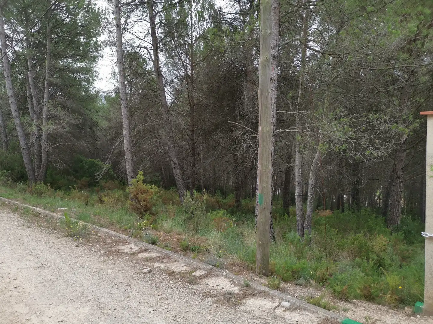 Terreny residencial en venda a El Montmell, imagen 4