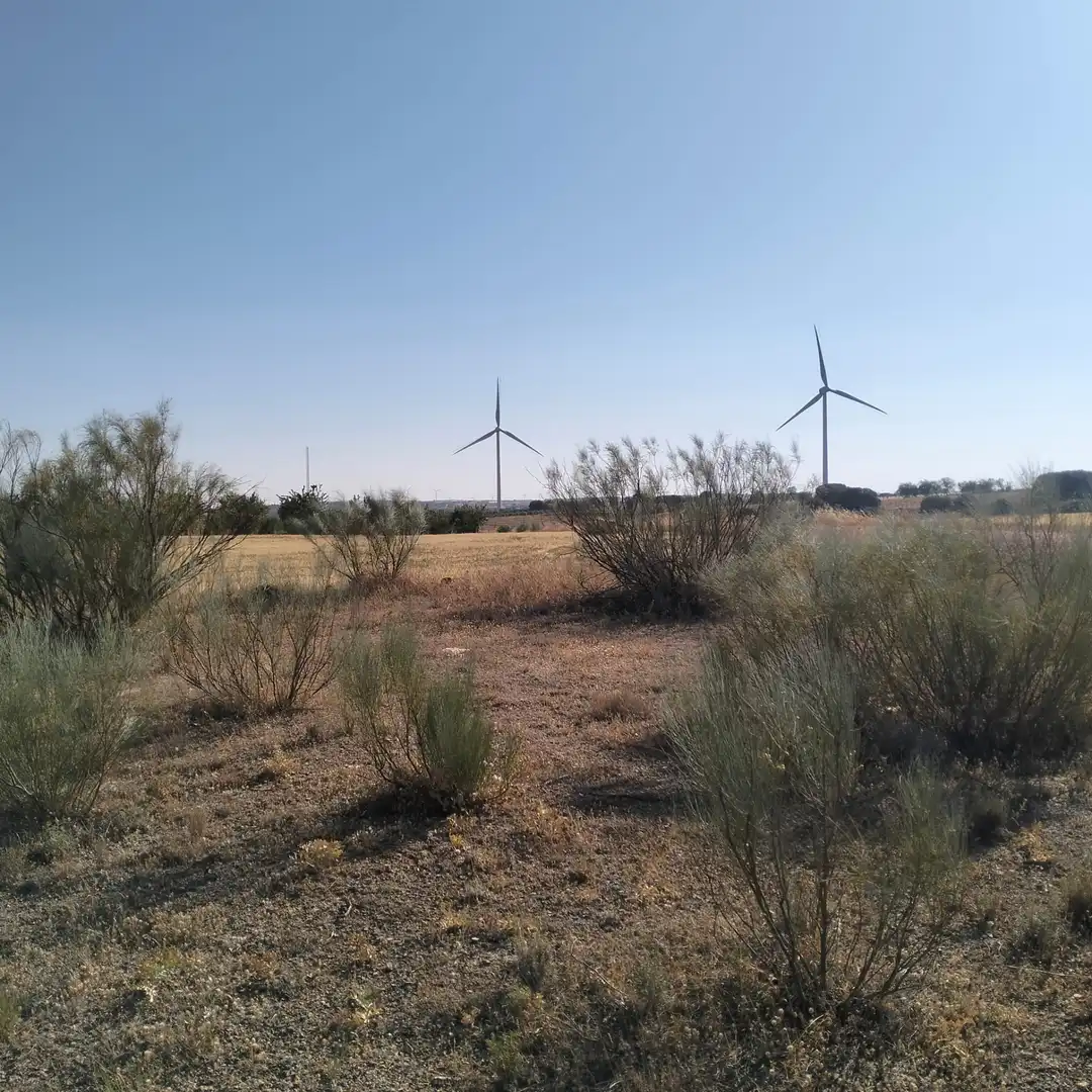 Terreno rustico in vendita a Munera, imagen 2