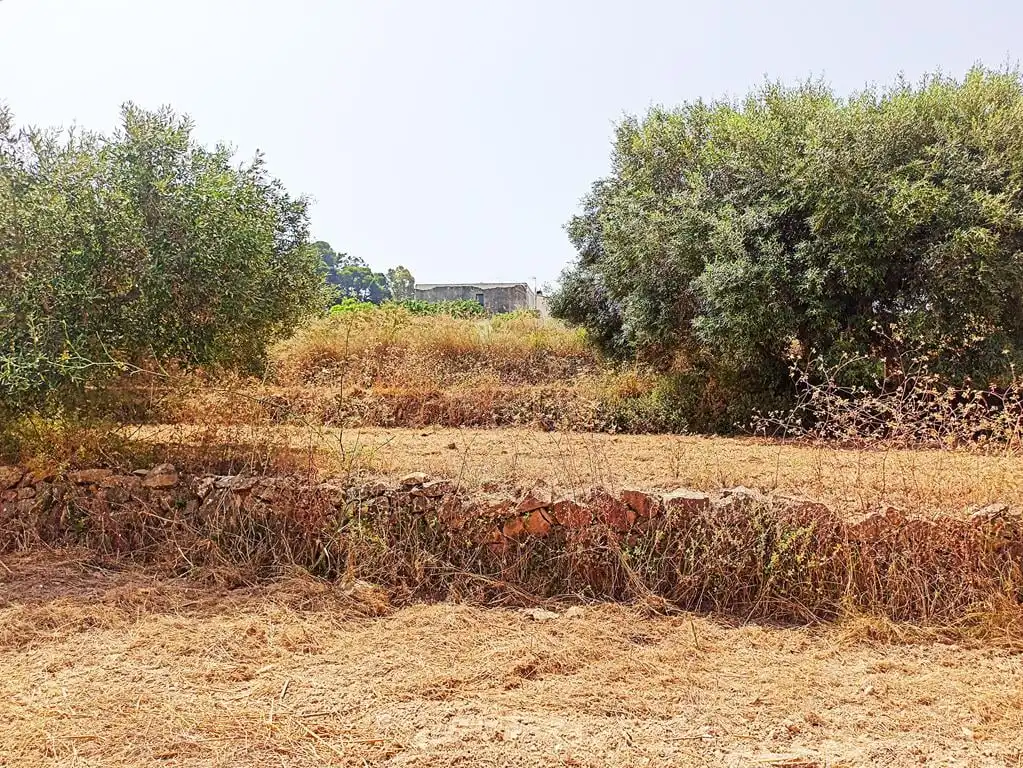 Finca rústica en venta en Benissa con Terraza y Trastero