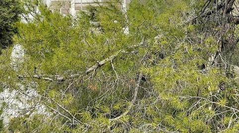 Foto 2 de Residencial en venda a Escandinavia - Cautivador, Alicante