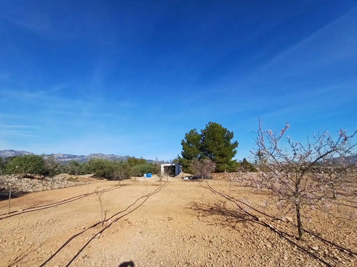 Land for sale in Aldover