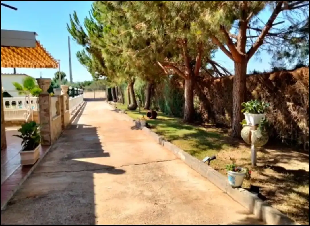 Jardí de Casa o xalet en venda en Arroyo de San Serván amb Jardí privat, Terrassa i Piscina