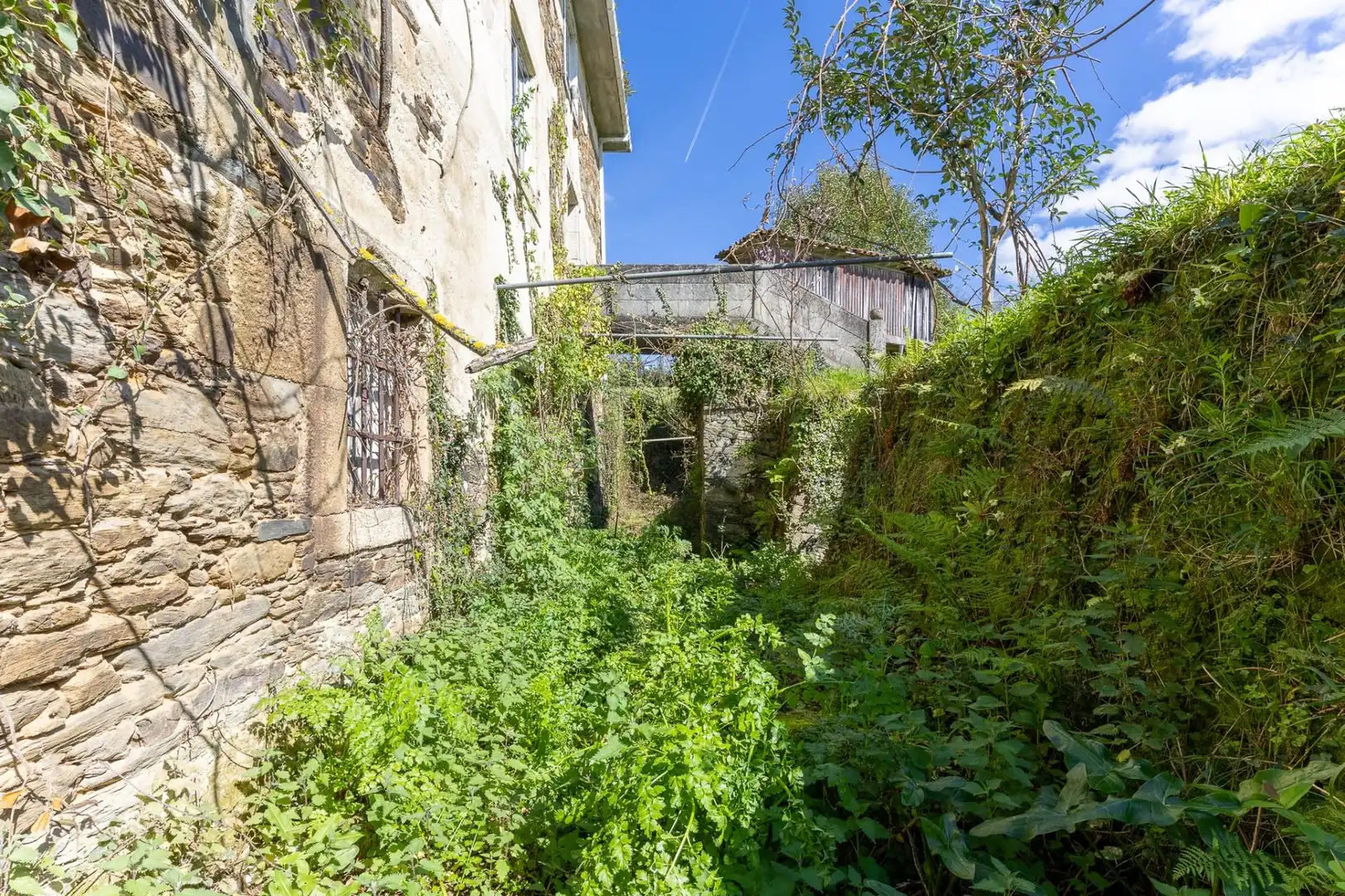 Finca rústica en venta en Pontedeume