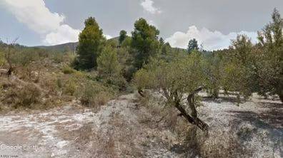 Terreno en Venta en Benillup