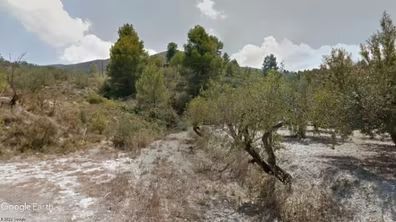Land for sale in Benillup