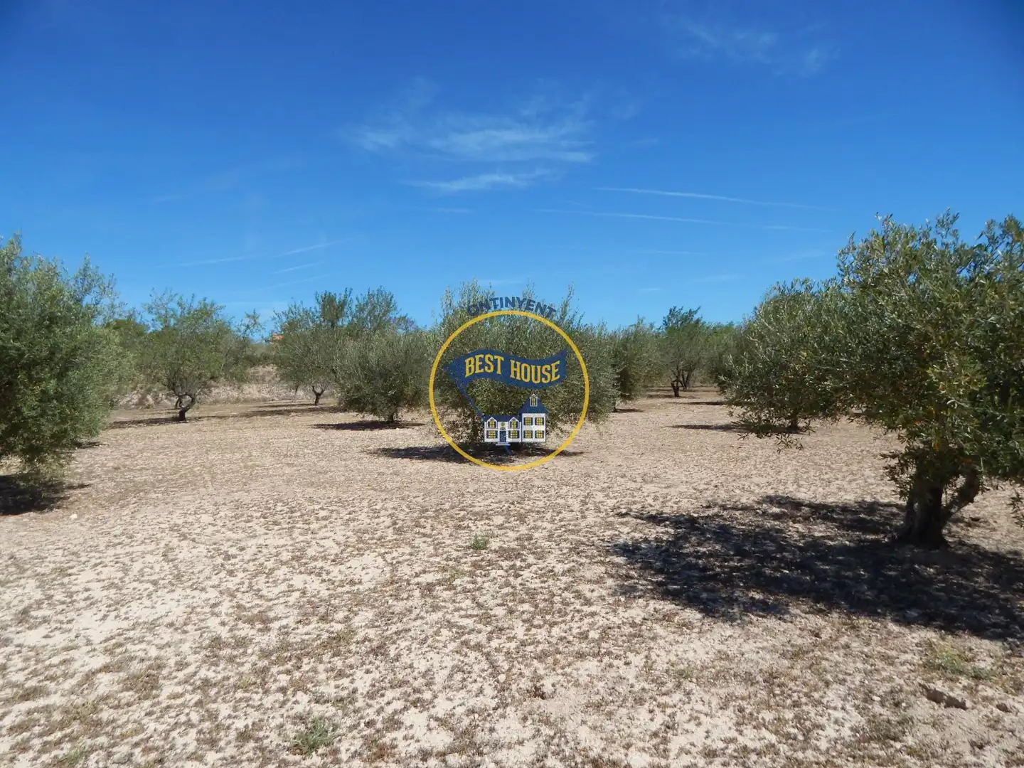 Residencial en venda en Agullent