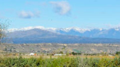 Foto 4 de Finca rústica en venda a Carretera de Madrid, Fuente El Saz de Jarama, Madrid