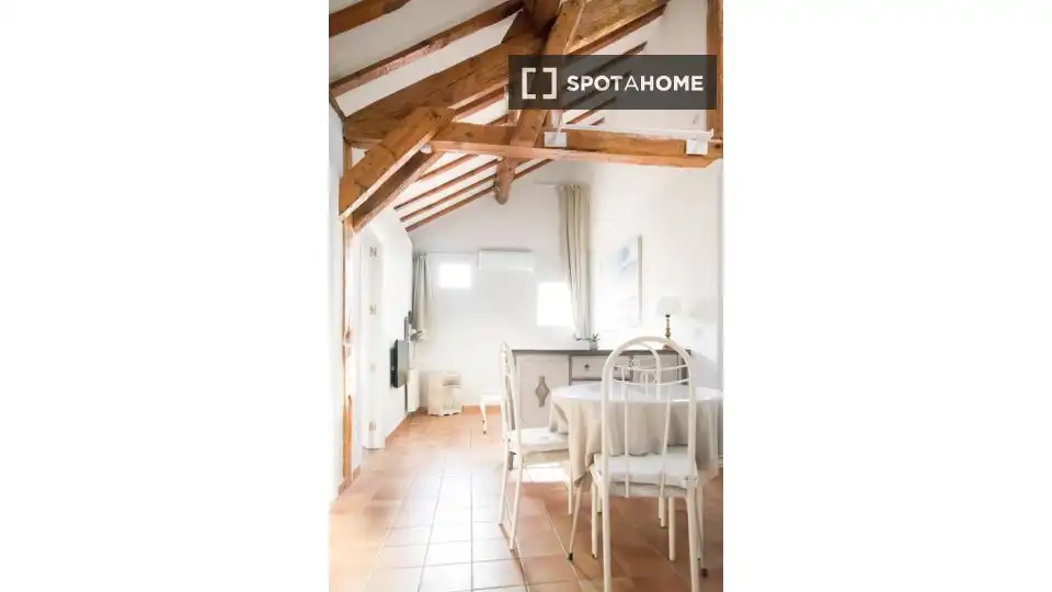 Appartement à louer à Centro