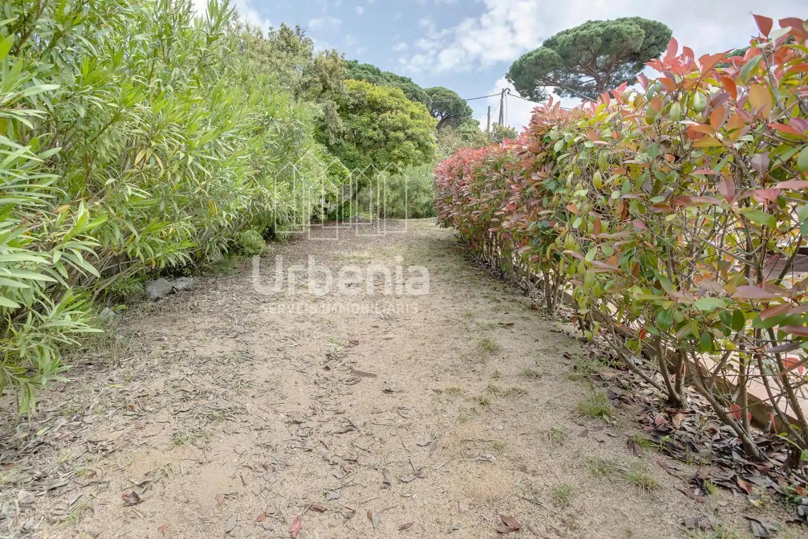 House with pool for sale in Sant Cebrià de Vallalta, imagen 21