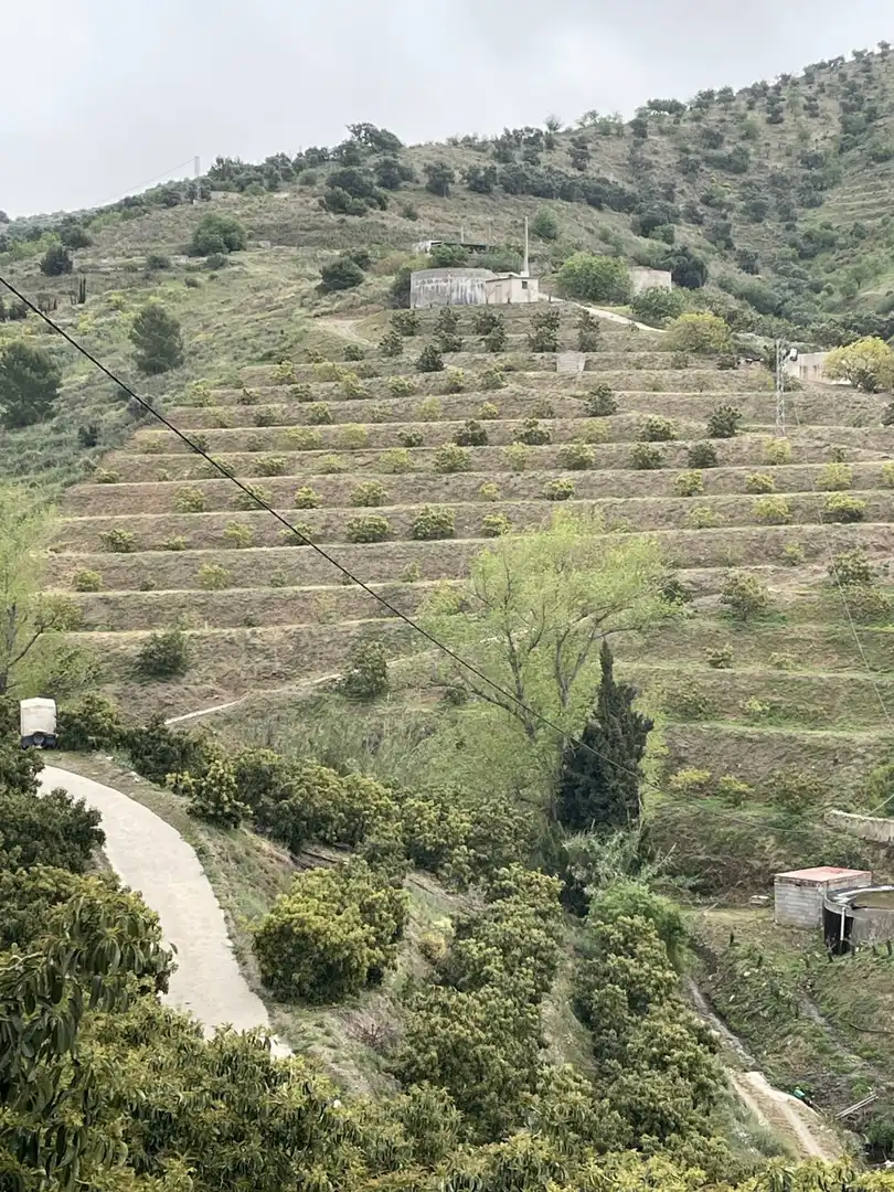 Terreni e lotti in vendita a Ítrabo, imagen 8
