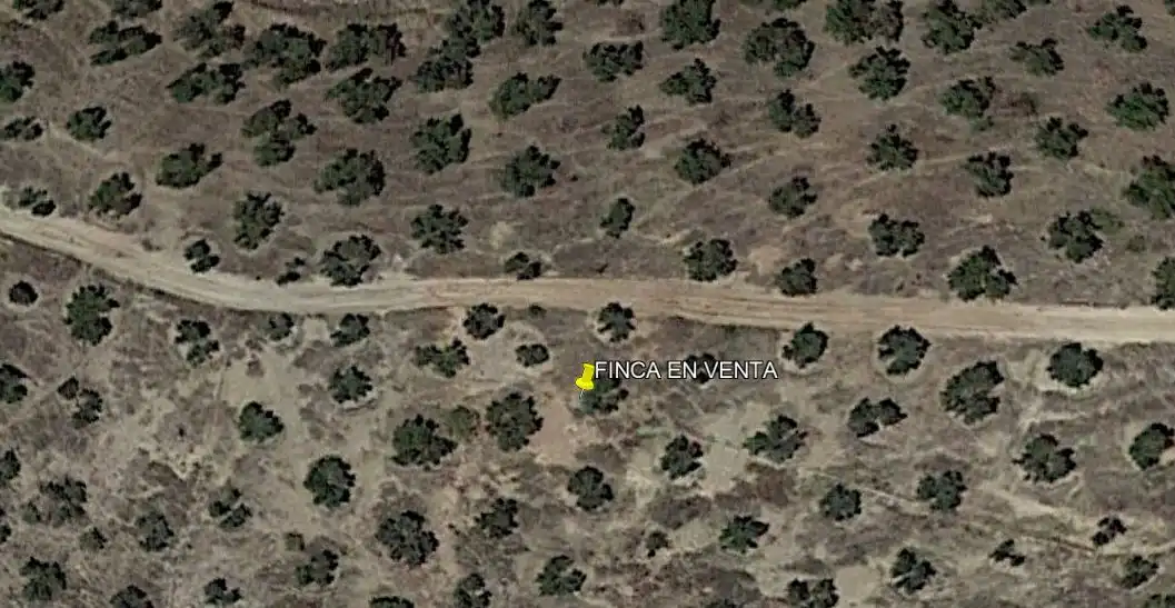 Terreny rústic en venda a Priego de Córdoba, imagen 4