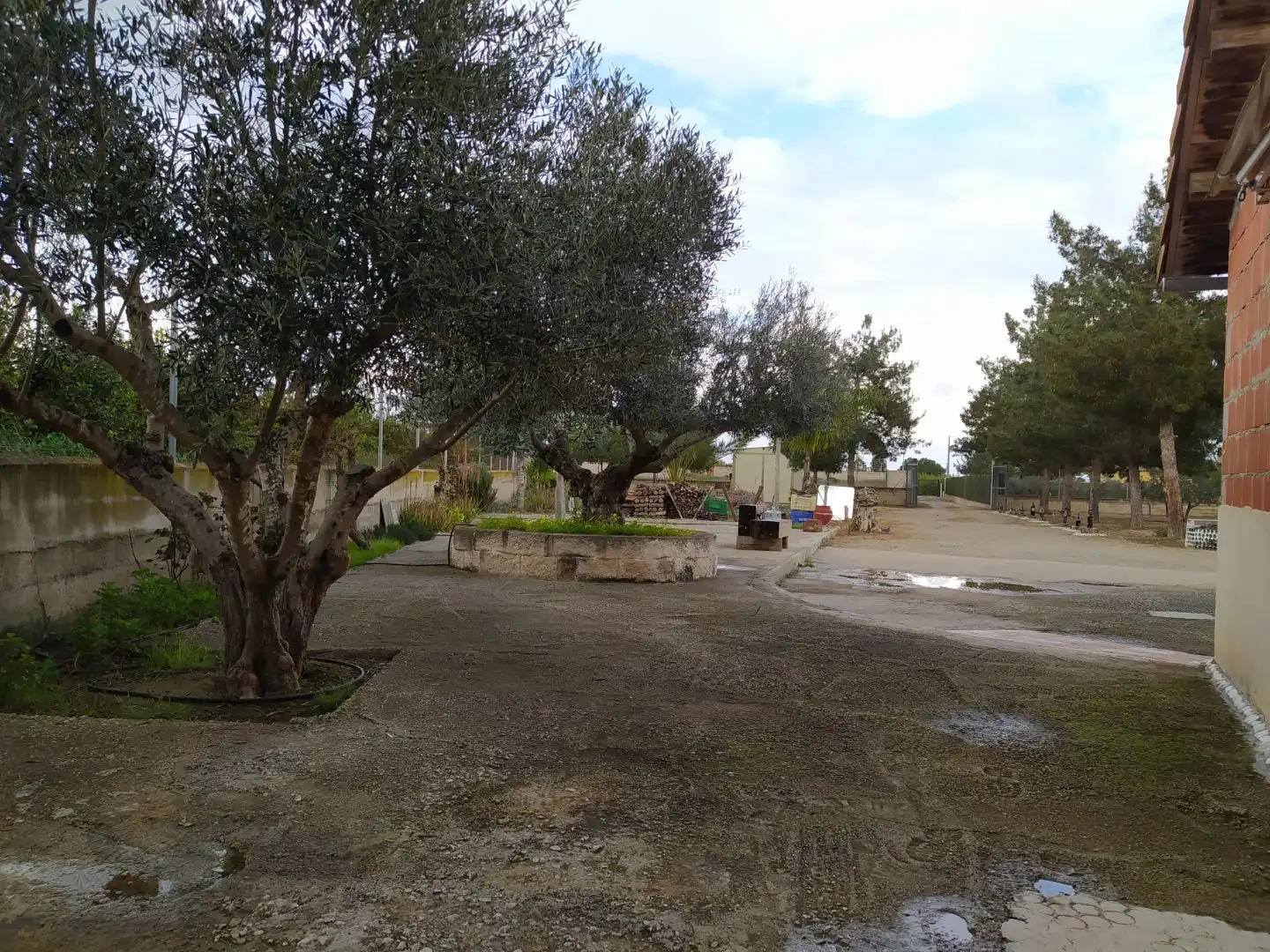 Casa rustica con giardino in vendita a Campa Palacios 1, imagen 11
