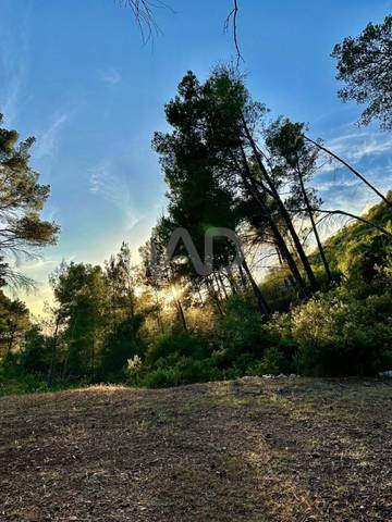 Terreno residencial en Venta en Andratx pueblo