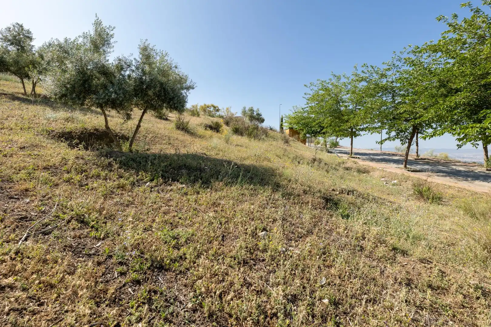 Terreno residencial en venta en Alfacar, imagen 13