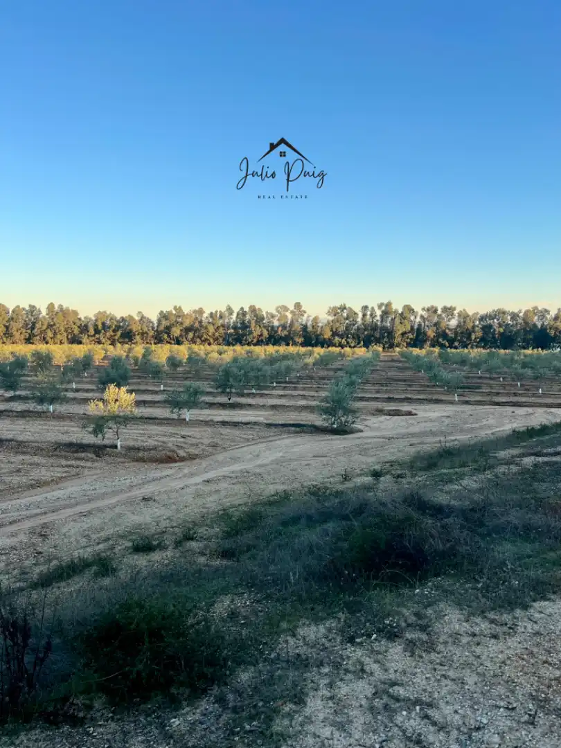 Terreni e lotti in vendita a La Puebla del Río, imagen 7