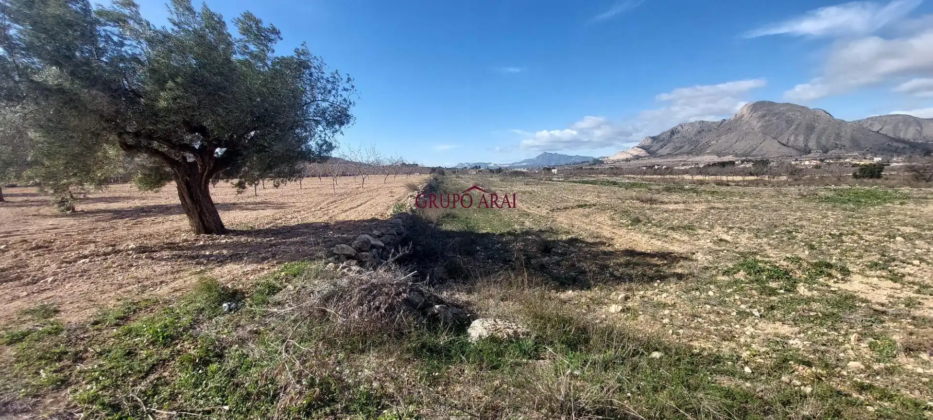 Terreno rustico in vendita a Calle Hondón de los Frailes 2, imagen 2
