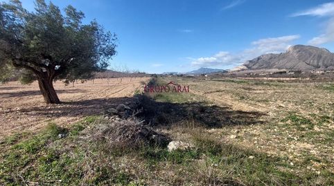 Vive el campo cerca del pueblo finca rústica con opción de construcción, imatge 2